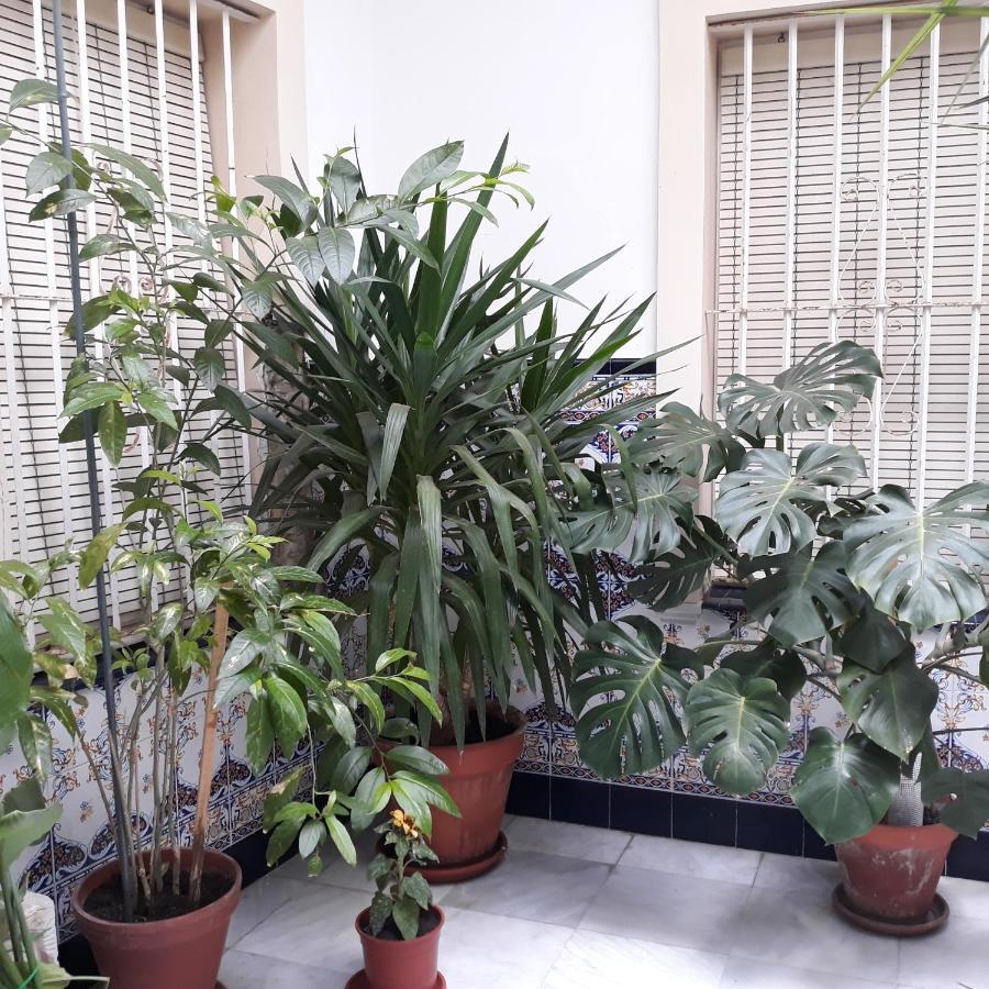 Atico Soleado Apartment Кадис Екстериор снимка