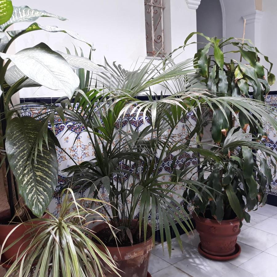 Atico Soleado Apartment Кадис Екстериор снимка